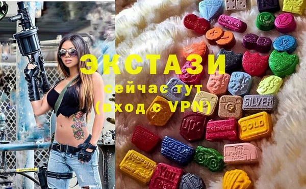 индика Инсар