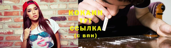 индика Инсар