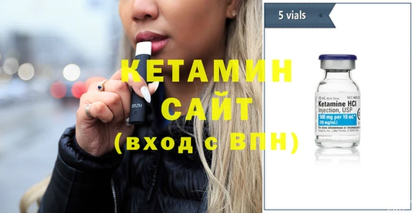 индика Инсар