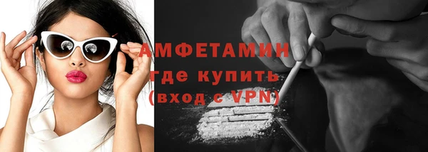 индика Инсар