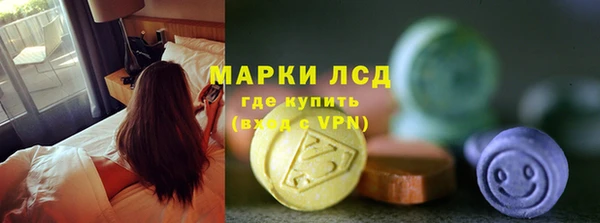 индика Инсар