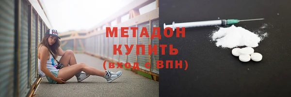 индика Инсар