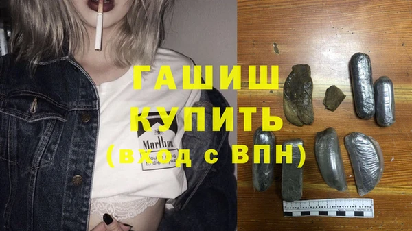 индика Инсар