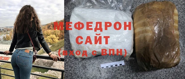 индика Инсар