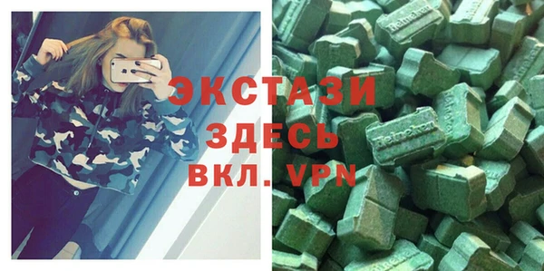 индика Инсар