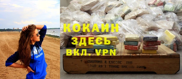 индика Инсар