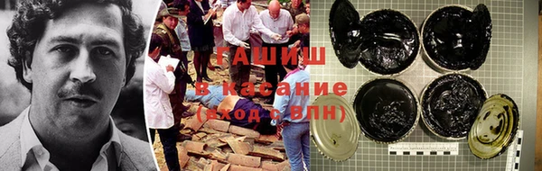 индика Инсар