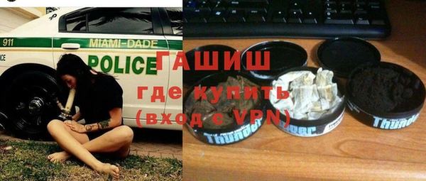 индика Инсар