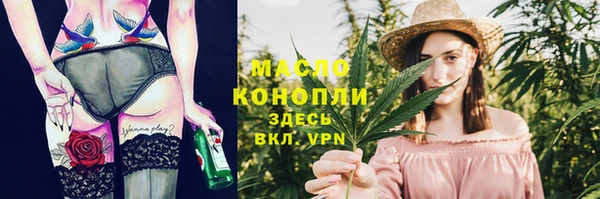индика Инсар