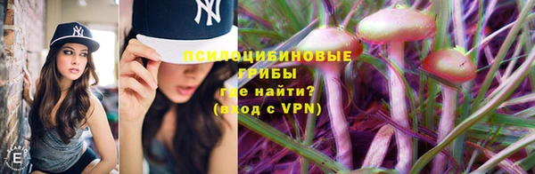 индика Инсар