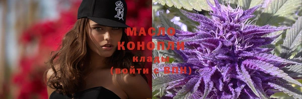 индика Инсар