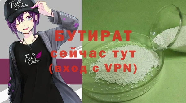индика Инсар